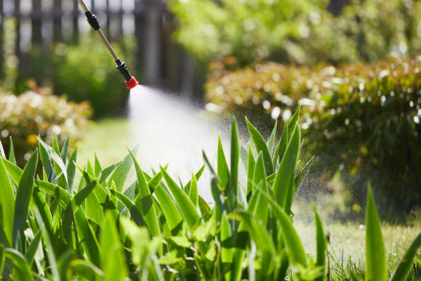 24/7 Emergency Mosquito Control experts in Belmont, VA